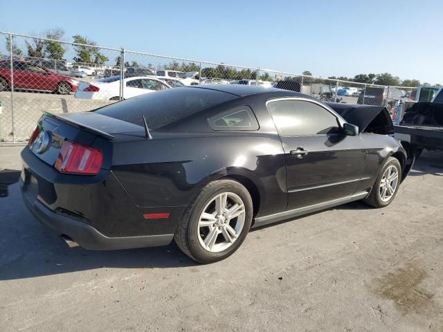 2010 Ford Mustang