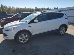 Ford salvage cars for sale: 2014 Ford Escape SE