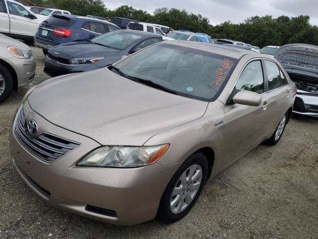 2009 Toyota Camry Hybrid