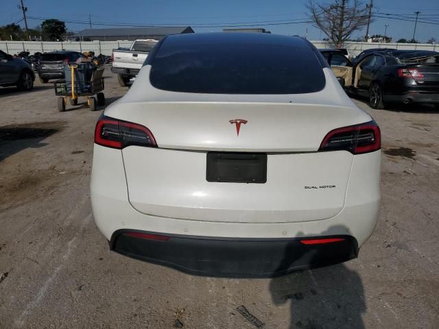 2020 Tesla Model Y