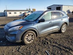 2020 Ford Escape SE en venta en Airway Heights, WA