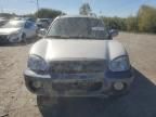 2005 Hyundai Santa FE GLS