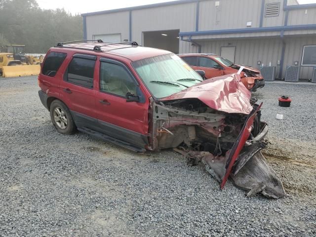 2006 Ford Escape XLT