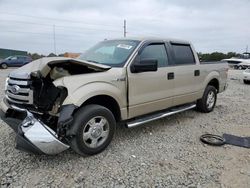 Salvage cars for sale at Tifton, GA auction: 2010 Ford F150 Supercrew