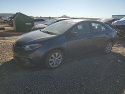 Salvage cars for sale at Phoenix, AZ auction: 2015 Toyota Corolla L