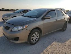 Salvage cars for sale at San Antonio, TX auction: 2010 Toyota Corolla Base