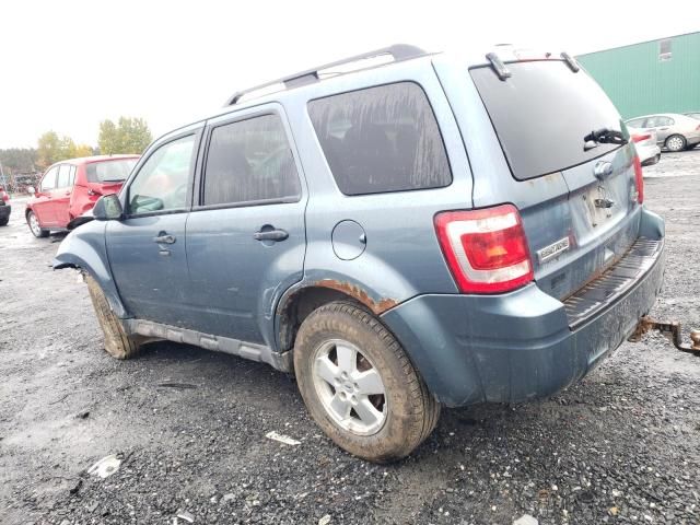 2012 Ford Escape XLT