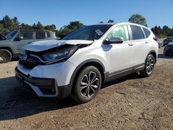 Salvage cars for sale at Elgin, IL auction: 2020 Honda CR-V EXL