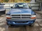 2004 Dodge Dakota Sport