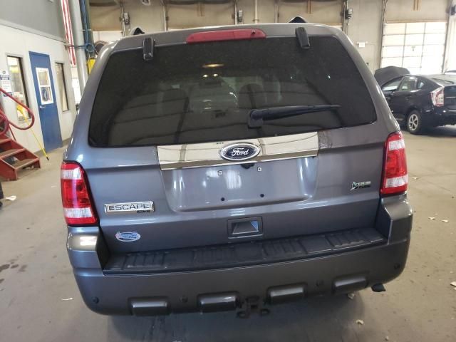 2010 Ford Escape Limited