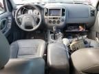 2005 Ford Escape XLT