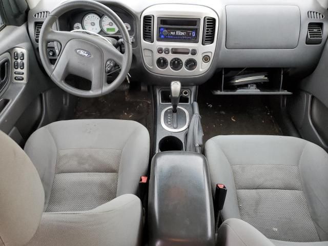 2007 Ford Escape XLT