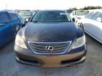 2009 Lexus LS 460