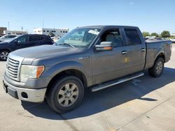 Ford salvage cars for sale: 2010 Ford F150 Supercrew