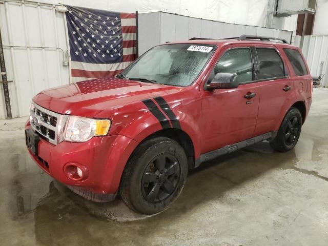 2011 Ford Escape XLT