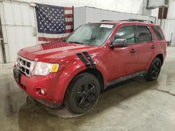 Salvage cars for sale from Copart Avon, MN: 2011 Ford Escape XLT