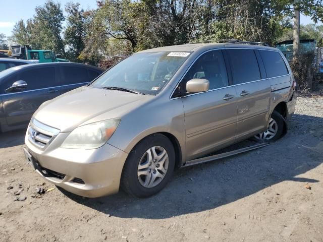 2005 Honda Odyssey EXL