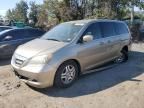 2005 Honda Odyssey EXL