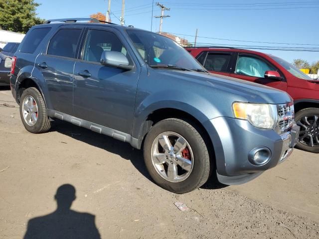 2011 Ford Escape Limited