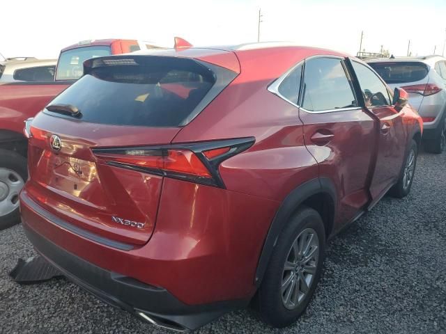 2020 Lexus NX 300 Base