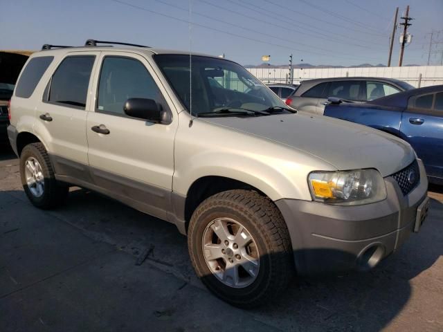 2005 Ford Escape XLT