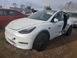 Salvage cars for sale at Elgin, IL auction: 2024 Tesla Model Y