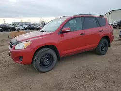 Toyota salvage cars for sale: 2009 Toyota Rav4