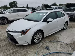 Salvage cars for sale at Arcadia, FL auction: 2023 Toyota Corolla LE