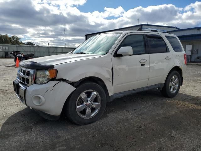 2010 Ford Escape Limited