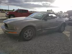 2005 Ford Mustang en venta en Mentone, CA