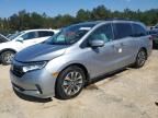 2021 Honda Odyssey EXL