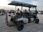 2024 Bintelli Golfcart