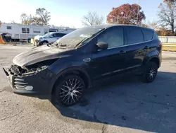 Salvage cars for sale at Rogersville, MO auction: 2013 Ford Escape SE