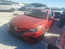 Salvage cars for sale at auction: 2019 Toyota Camry L