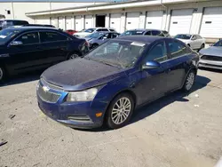 2013 Chevrolet Cruze ECO en venta en Louisville, KY