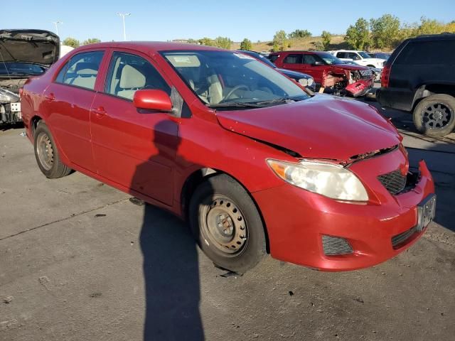 2010 Toyota Corolla Base