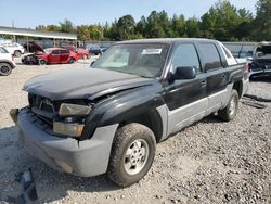 Chevrolet Avalanche k1500 salvage cars for sale: 2002 Chevrolet Avalanche K1500