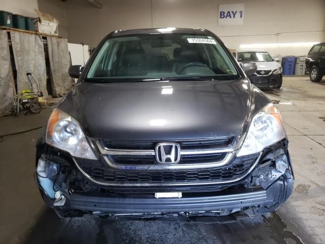 2010 Honda CR-V EXL