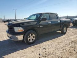 Salvage cars for sale at Andrews, TX auction: 2010 Dodge RAM 1500