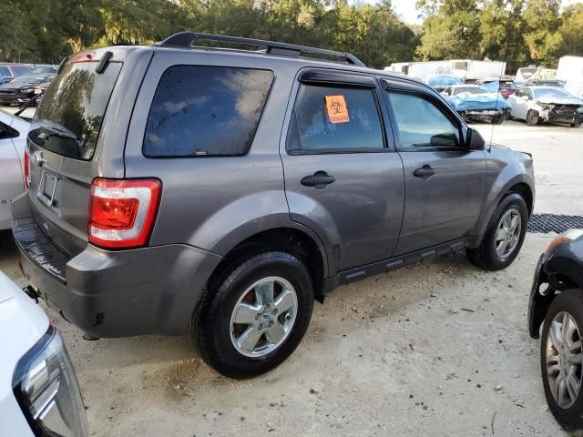 2011 Ford Escape XLT