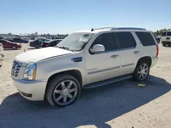 2010 Cadillac Escalade Hybrid en venta en Houston, TX