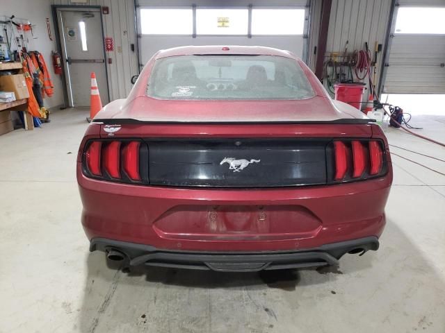 2019 Ford Mustang