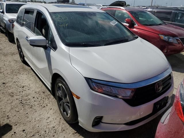 2024 Honda Odyssey Elite