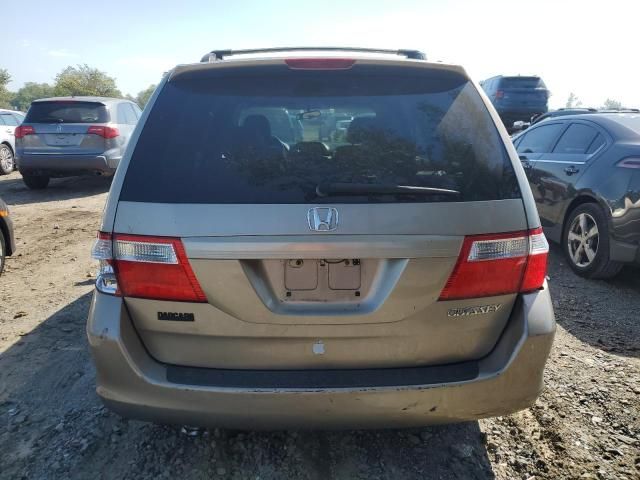 2005 Honda Odyssey EXL