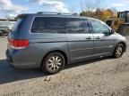 2010 Honda Odyssey EXL