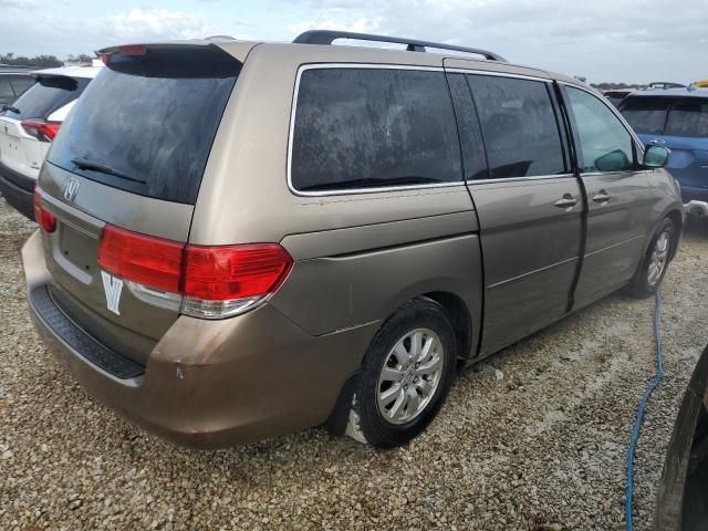 2009 Honda Odyssey EXL