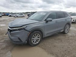 Salvage cars for sale at West Palm Beach, FL auction: 2023 Honda CR-V EX