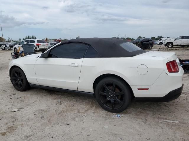 2010 Ford Mustang