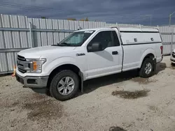 Ford salvage cars for sale: 2019 Ford F150