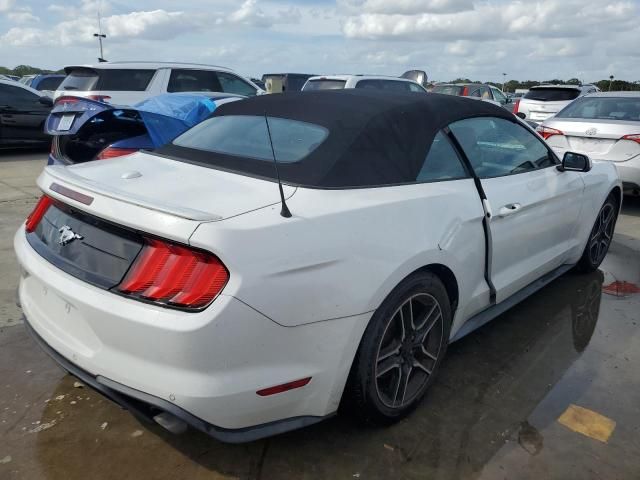 2019 Ford Mustang